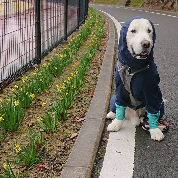 85d3d9a9 e4f8 4f4e 9b49 10f0db566c2b 1588118171778