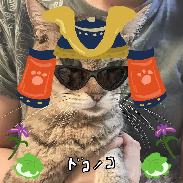 85d3fa9c 2caf 4c29 866c 562cec1b3e80 1714877325032