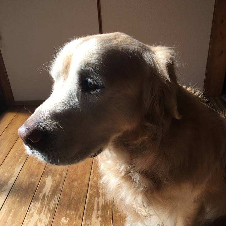 85d3faf9 5ff1 48ec b61d 7f2e87394b15 1547870047436