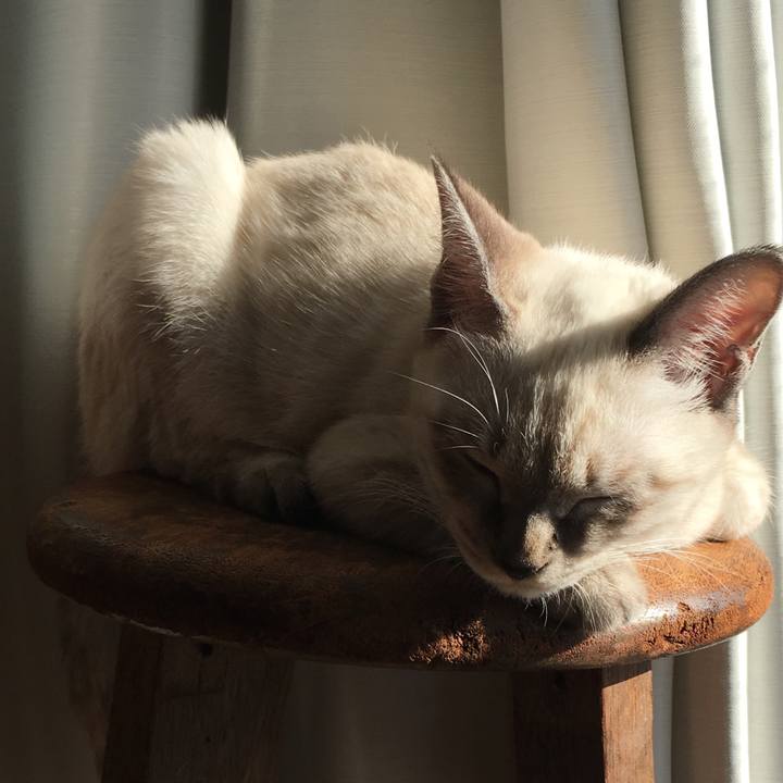 85d40566 57bc 47fd bd3b 9f5962123ba0 1540079998059