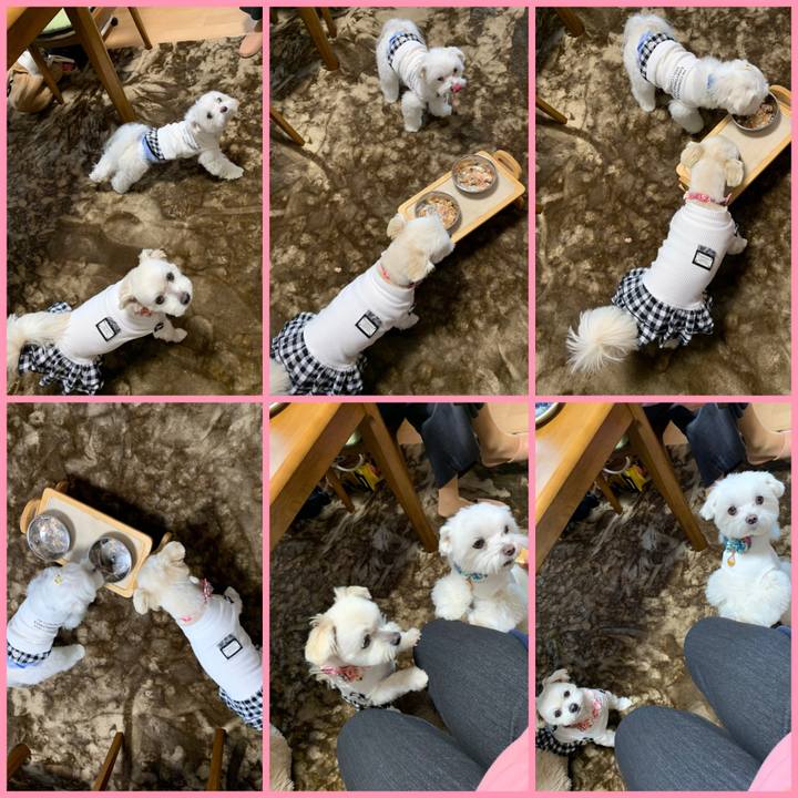 85d40e34 1e09 4fcb bdde c59e26919423 1648192216818