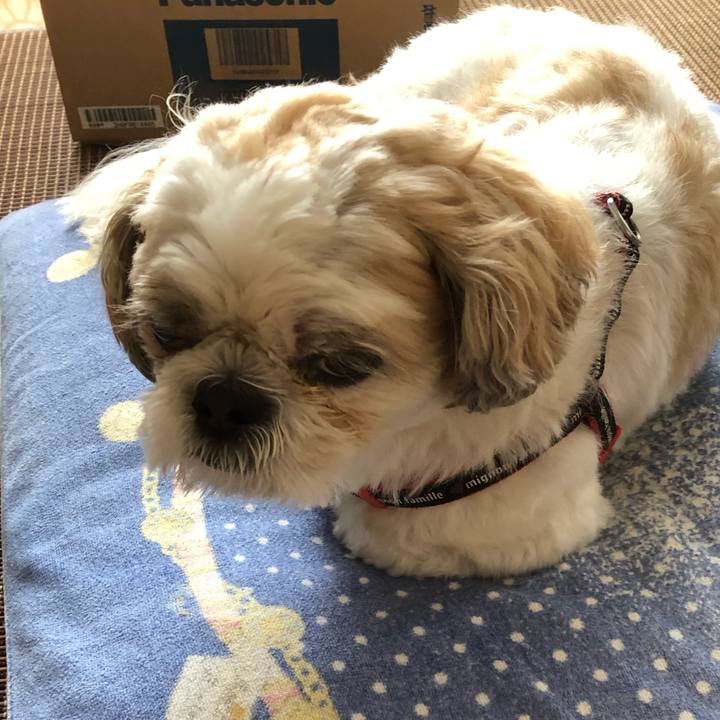 85d4191d bfbb 455c 8cc7 7c9d124f1c06 1569620820824