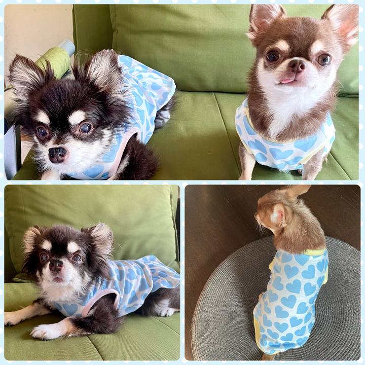 85d4442a 1c12 44c6 b928 b69d24f72f2a 1695866142301