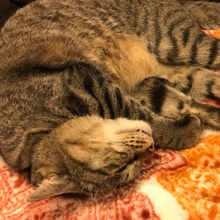 85d4483b 8b04 43d2 bc9e cd1750fa30ae 1549284236443