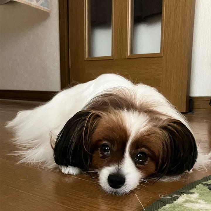 85d47239 2526 4846 a00f 4b408554ed67 1751075389406