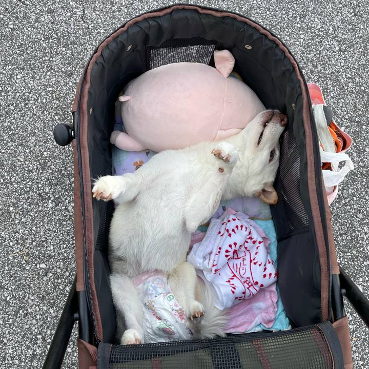 85d48515 c655 4360 ad39 8b0ba3f1c21c 1665146471238