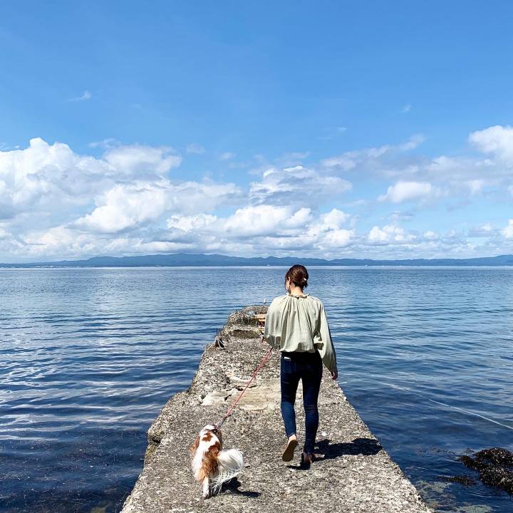 85d4b8b8 5b2d 4e6f b068 7205d3db32d5 1595733405241