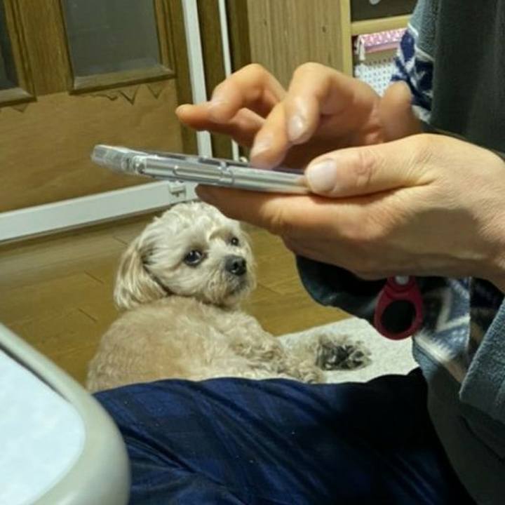 85d4bf38 39ad 4db8 984e 87f4ff30f63d 1586348849488