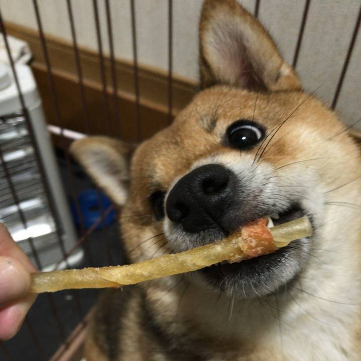 85d4d922 4883 459a affa 53397721d626 1522125531512