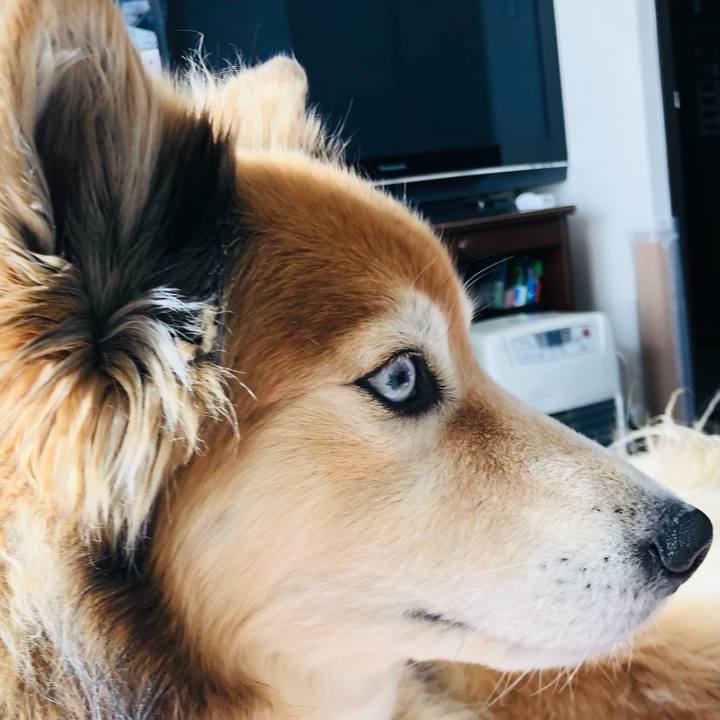 85d521c2 427d 425f 8c60 088510e884b7 1613007737826