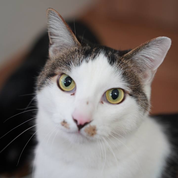 85d522ff c835 4cfa 8b91 37b6cea0e018 1617665392094