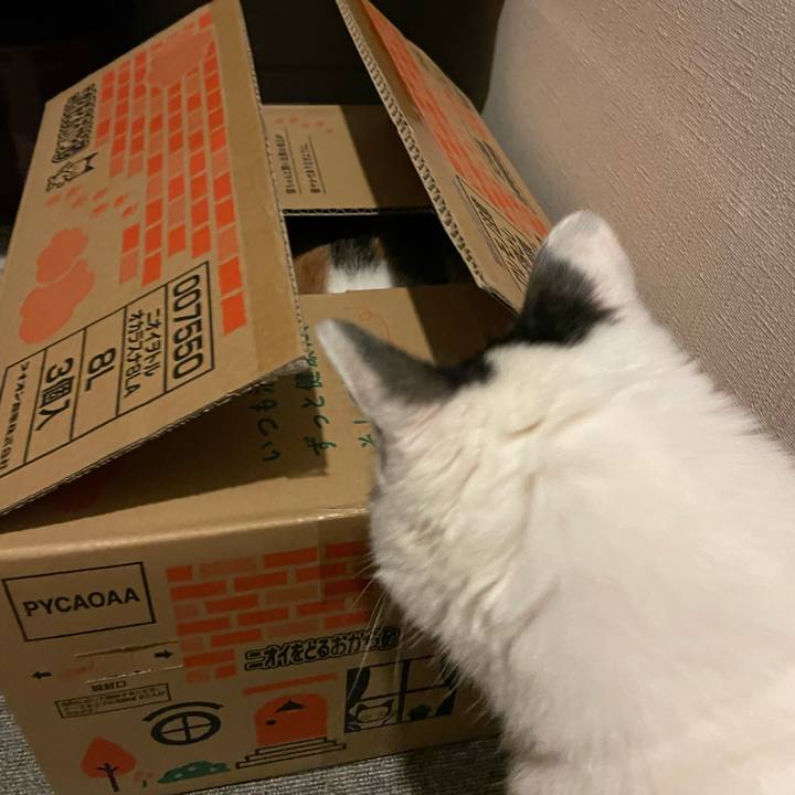 85d52326 bf29 4d91 8417 458a146f6f6d 1668344957529