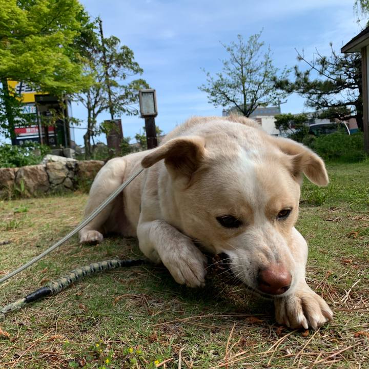 85d562c9 486c 4956 9aaf eeab417e4b89 1556410467314