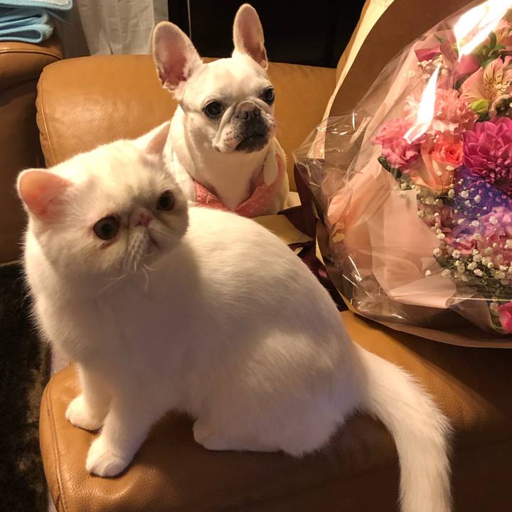 85d59d17 7c35 4f90 b456 54bf1c7d6f77 1576497483708