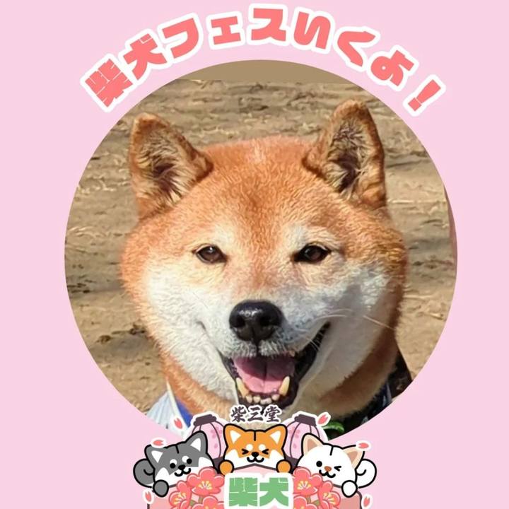 85d5d586 654f 4de2 8bf6 7081c56b50ad 1772098584604