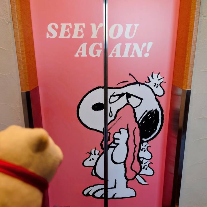 85d5e76f 1f65 4022 afbc c9c6b2a2b793 1763980425470