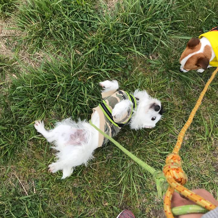 85d60d9d bc35 438b bd7c ce3f3ed8e2c4 1524444437859