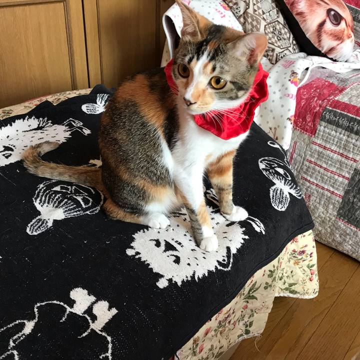 85d62bde b786 4088 8c0b 148a61333c64 1622756354367