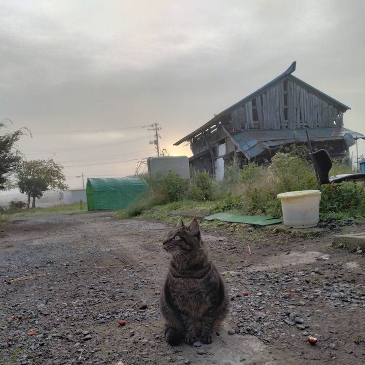 85d6466a 0d51 4e90 bc60 09c6b86701e4 1665005054802