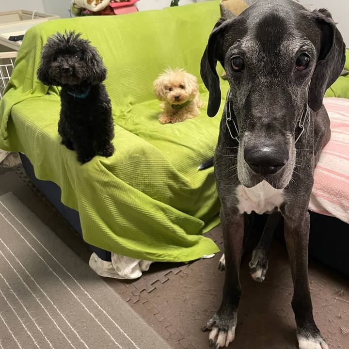 85d653b8 1269 4378 95a4 966c057f30f2 1625612466354