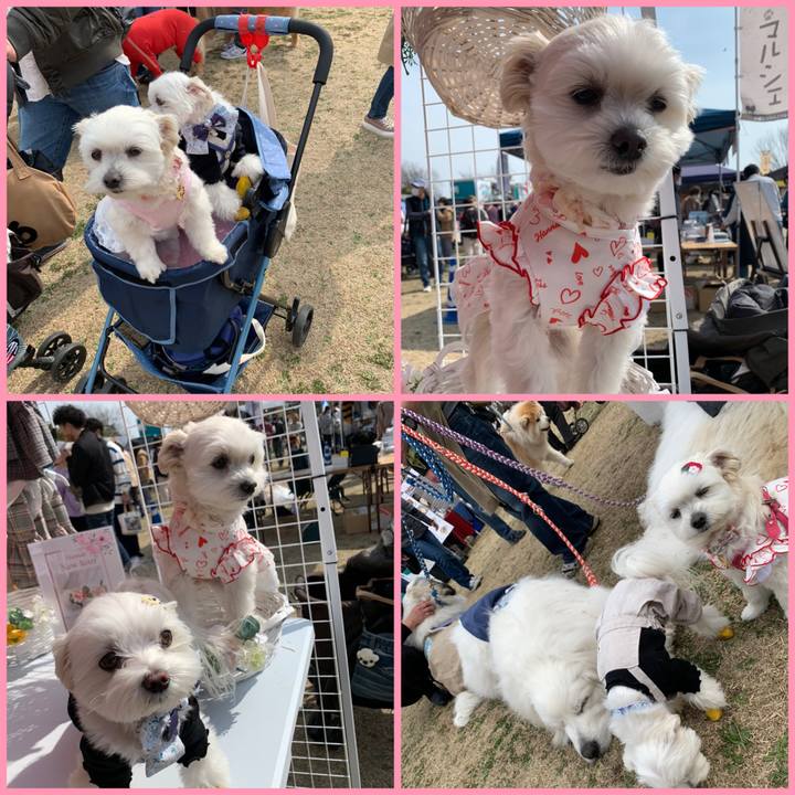 85d65dfa 3fc6 4d45 9e9e 36e2b748fd41 1647163190801