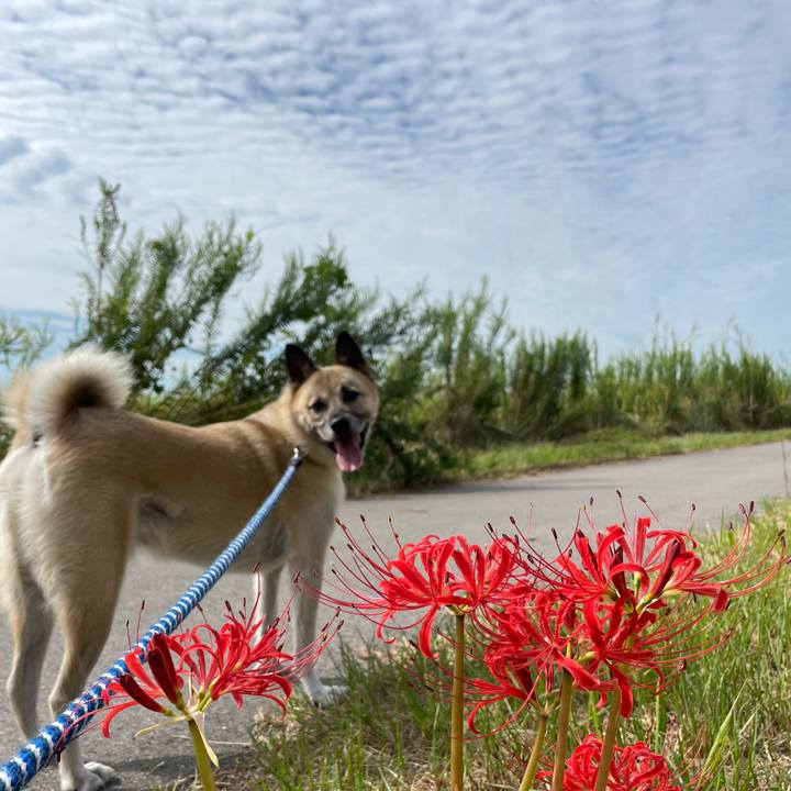 85d67cc7 5aee 4a45 b6e3 a1f8d504819b 1664107995771