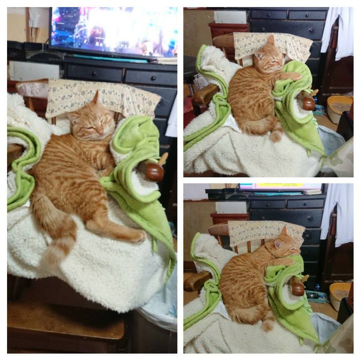 85d6d37a 7ef6 43ee 97c3 f5c7dbd5d117 1641000873711