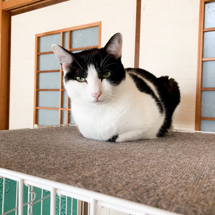 85d7088b c8e2 43f7 b9cc 88912d0c7a22 1546480762915