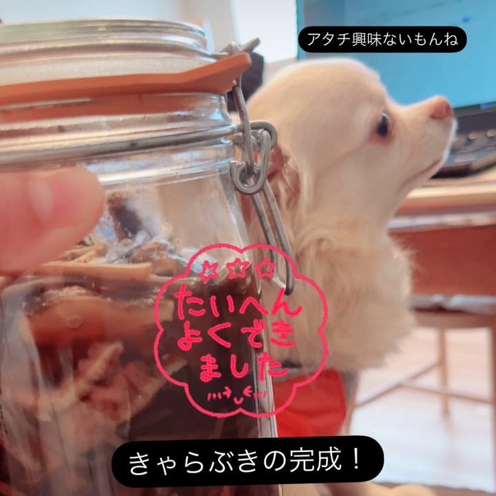 85d76dba 61b8 4649 ad78 6111b4670332 1746515835322