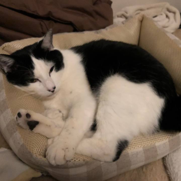 85d7871b 8504 4ee1 b7f8 a08acbe60092 1554212096298