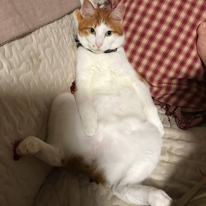 85d7a762 ddc5 4619 9088 73eb99d42dd2 1536063667563