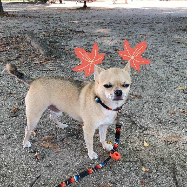 85d7b580 17b2 44e7 89d1 0be4ae096677 1601509008159