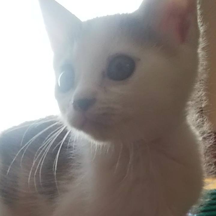 85d7c321 5acd 442a 9293 3481e47a2cd3 1633335449087