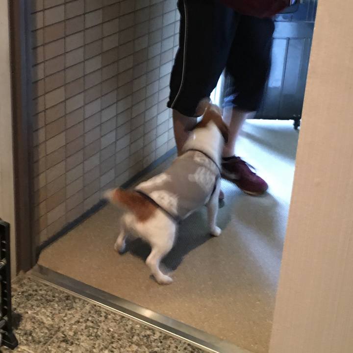 85d7cea8 6ea5 40d6 8533 53f0fcf3d764 1589930622815