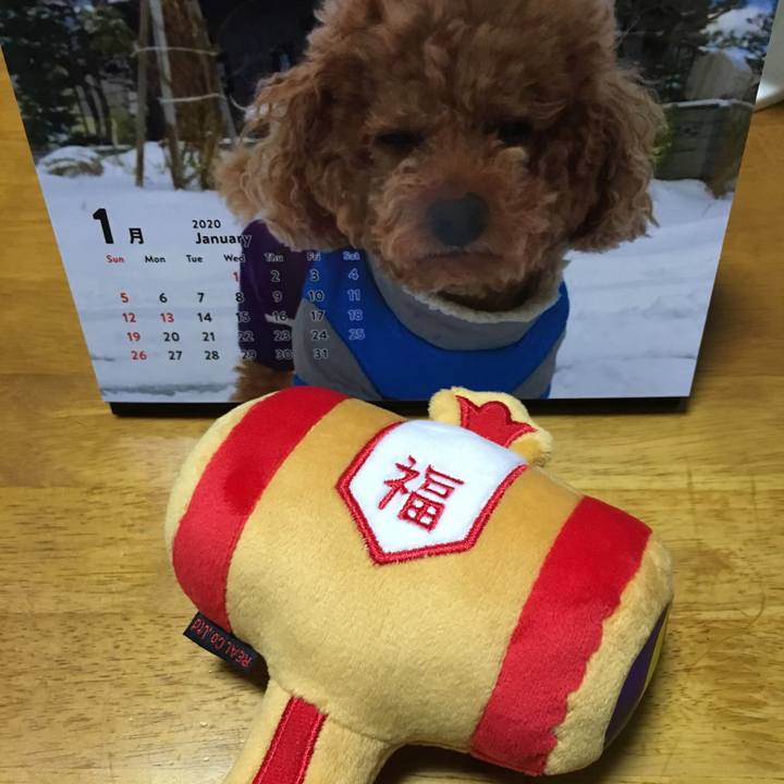 85d7f3f7 ff2c 4154 9736 246a09adcd0f 1577810603919