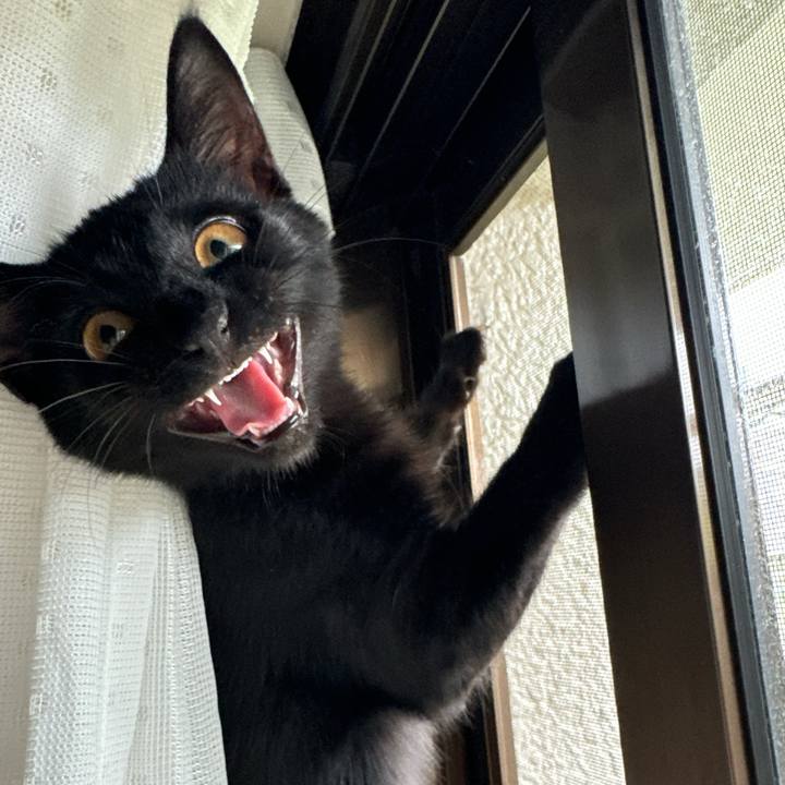 85d818d1 9da6 4bd4 90f2 989a88d15161 1725153511748