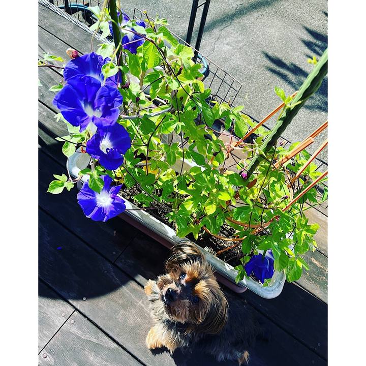 85d81e16 946e 48a3 8423 a1d0f6f6b506 1692312597388