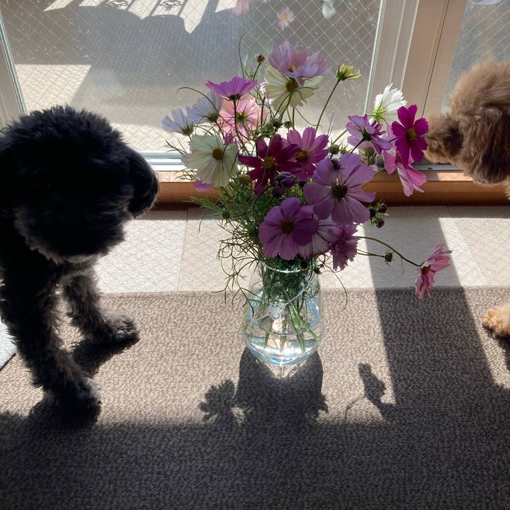 85d82175 40d5 4f99 bf6b 687219cf33c9 1697439221702