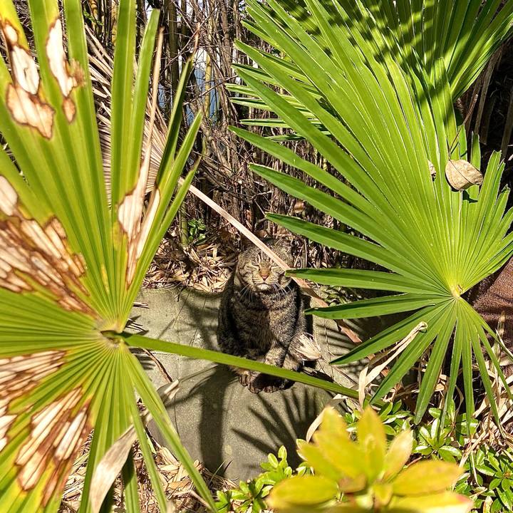 85d82a76 b09b 4123 ad63 33961f02dd32 1677995428396