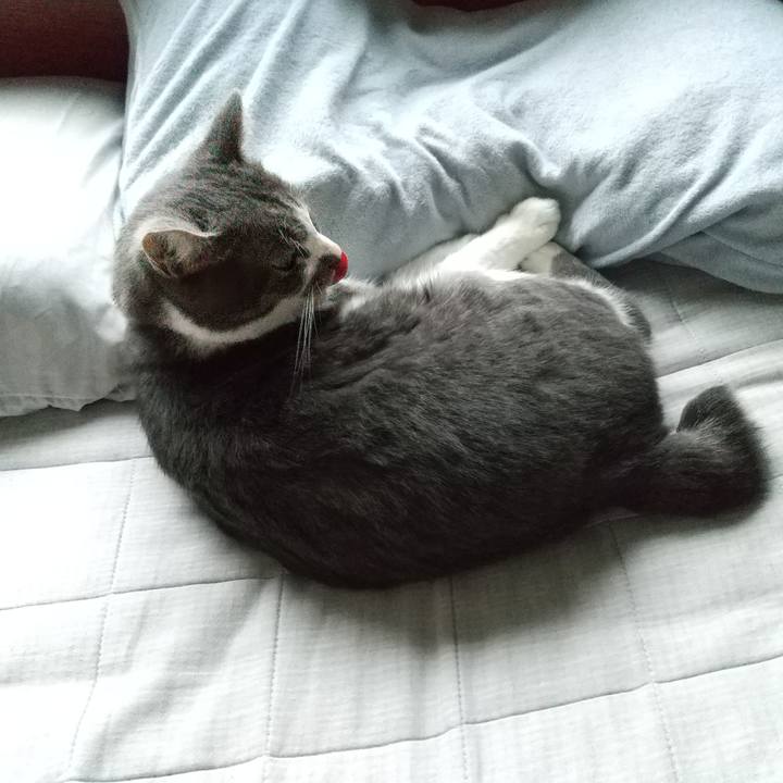 85d86415 244e 4c5f 9e42 971b896a0416 1602225825064