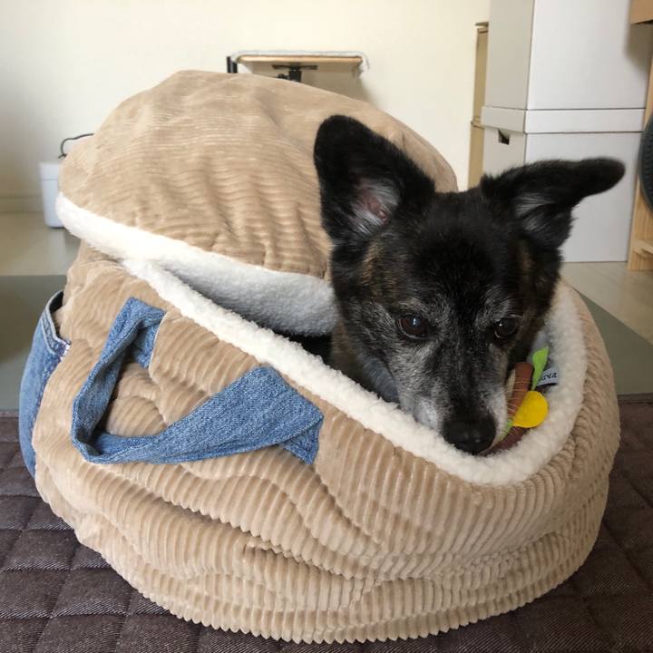 85d88fd4 04c6 4073 b7ae 2ef7d8e90a7e 1689563166571