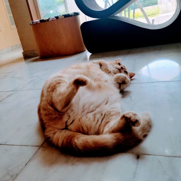 85d890ac d96a 4194 8c70 e90080b01cb2 1627286114689