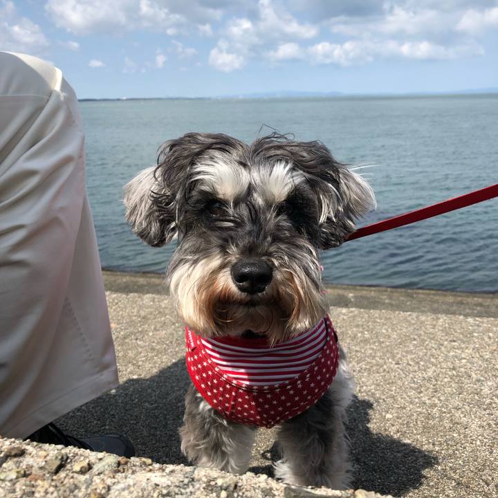 85d89317 688e 4e04 84bb 9d1ab604a55f 1556760022820