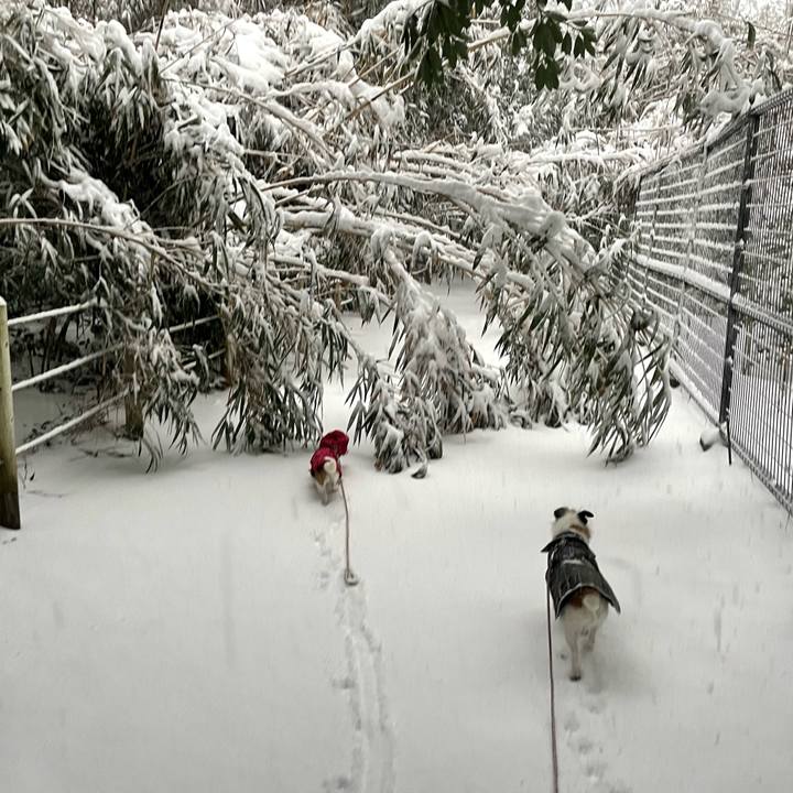 85d8a027 bbaa 4107 890b 8903dad8485c 1645054293702