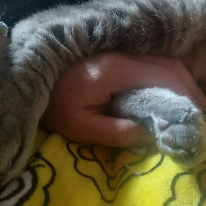 85d8a9b3 94bb 4ea5 b966 aee29c578431 1638433854236