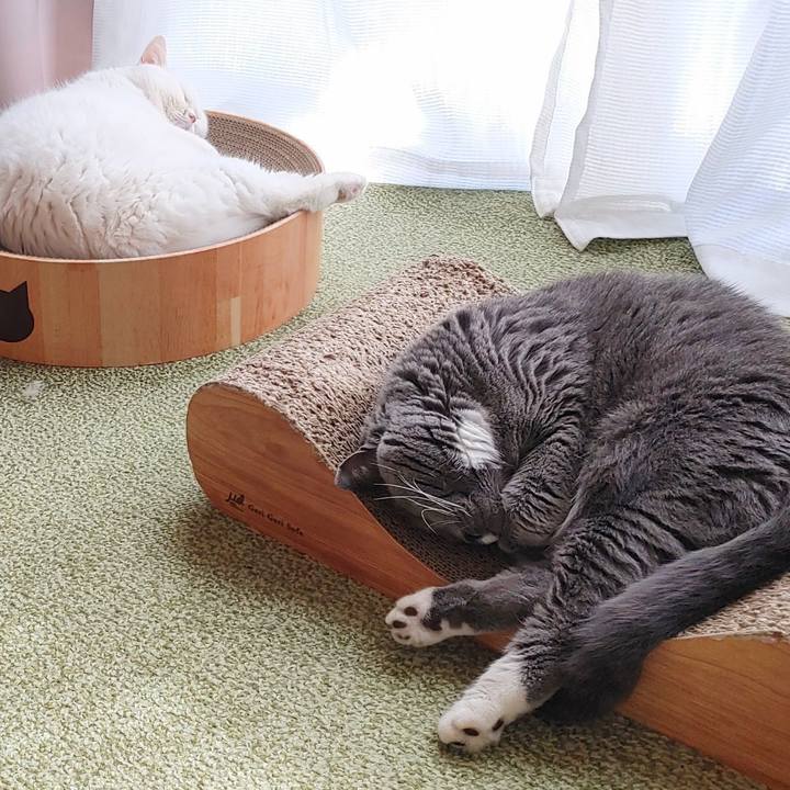 85d90111 790a 400b b851 040a28cf668a 1702435423002