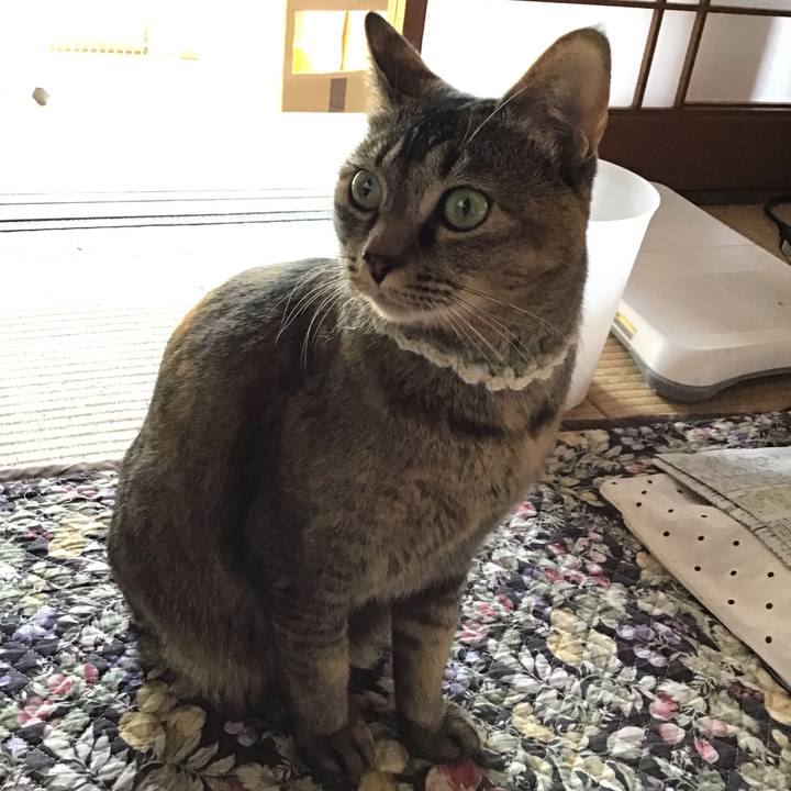 85d92547 f483 4e45 8ae7 74e464063c27 1647318760940