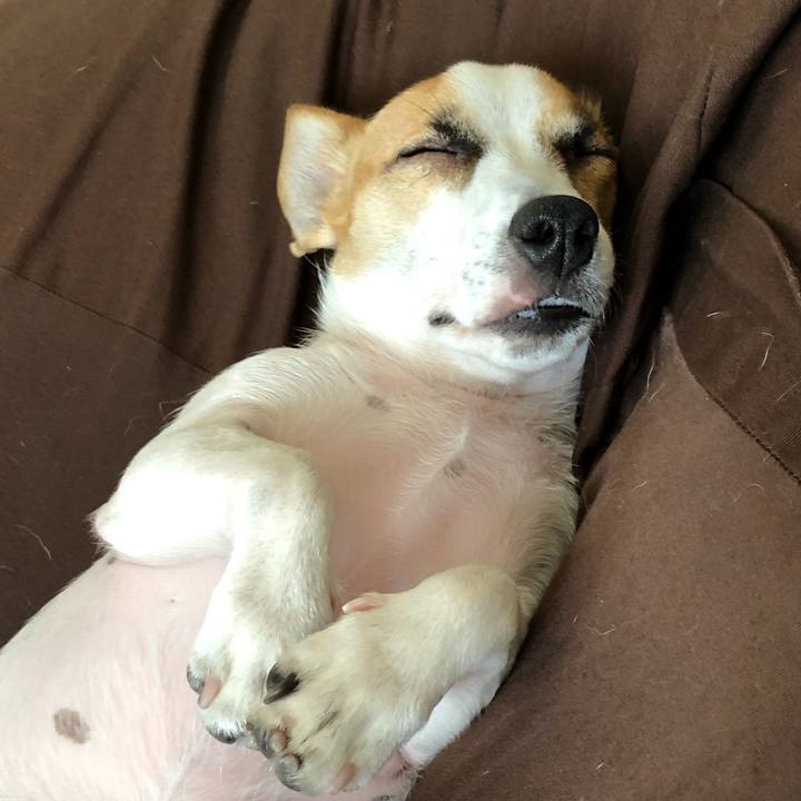 85d9ad8a 9de1 4c6a 9cbf 96240ebff053 1567922838136