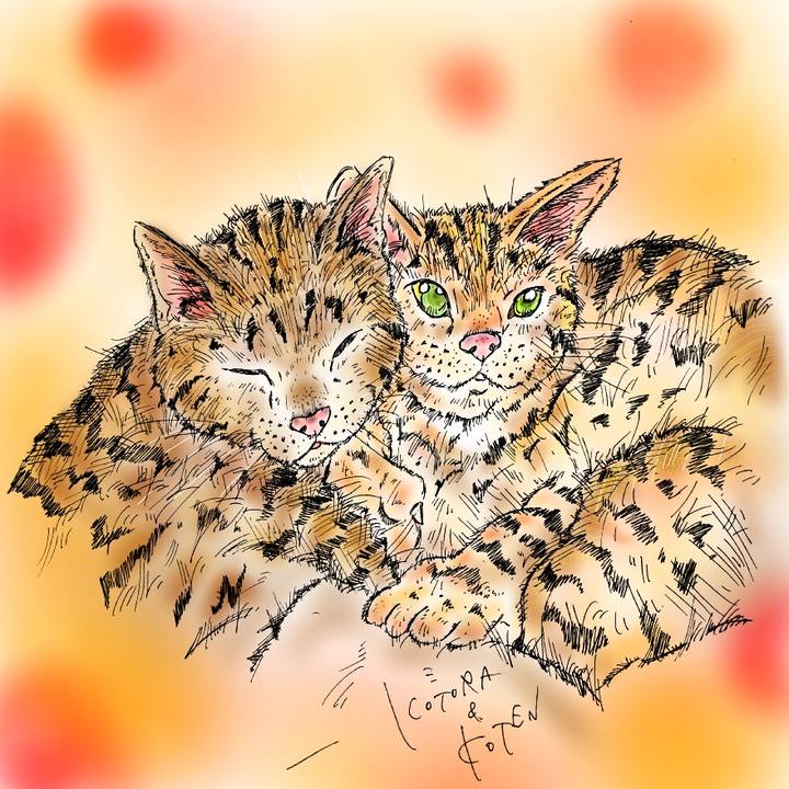 85d9dcf6 ea81 4256 9a5e 2530162f05a2 1583081130695