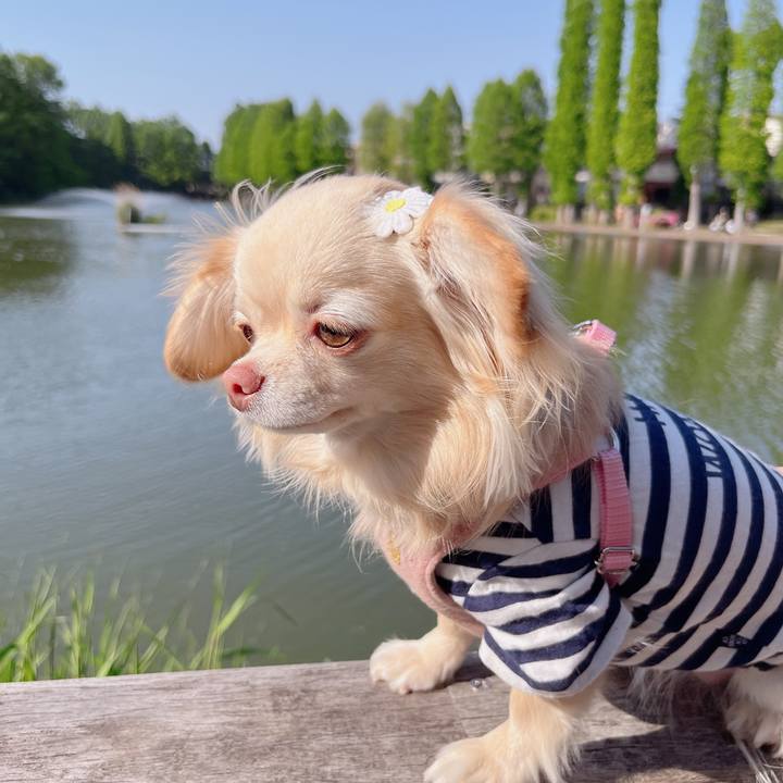 85d9e372 fcb3 411f 8b49 670d3d224495 1651653376610